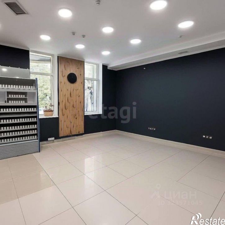 Торговое помещение улица Шмидта, 17,  д. 17