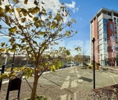 1-комн, 38кв м, этаж 1/9 ул Киевская, 177б