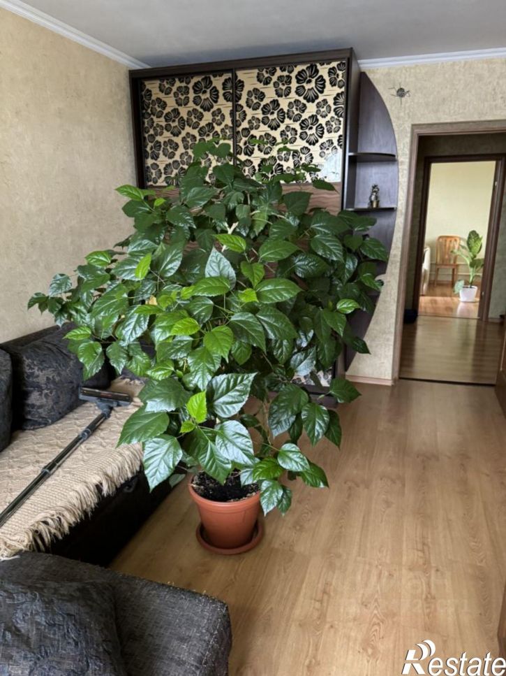 3-комн квартира ул Зеленая, 31,  д. 31